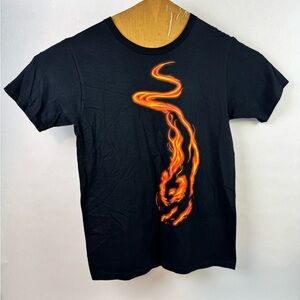 Shirt.Woot! Black T-Shirt with Tiger as Fire